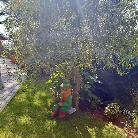 Chalet U Lesa Svoboda nad Úpou